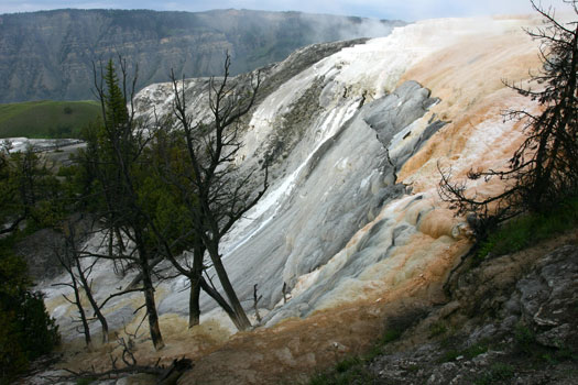 Mammoth Hot Spring