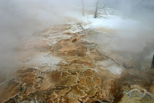 Mammoth Hot Spring