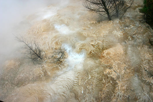 Mammoth Hot Spring