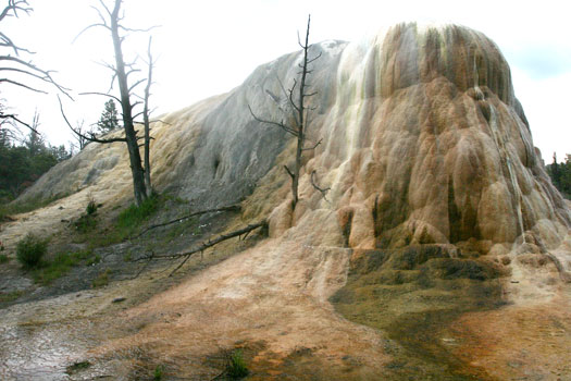 Mammoth Hot Spring