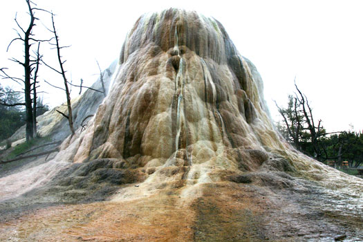 Mammoth Hot Spring