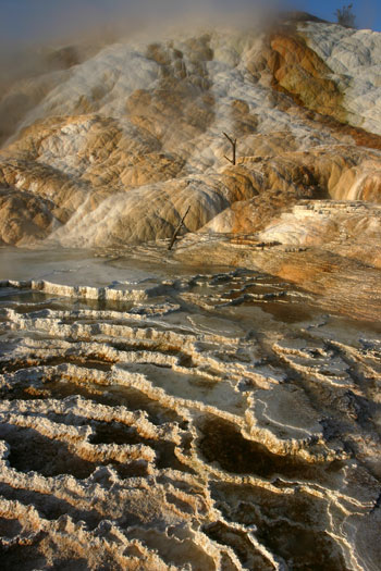 Mammoth Hot Spring