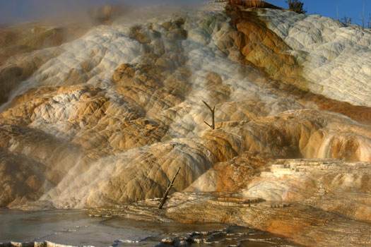 Mammoth Hot Spring