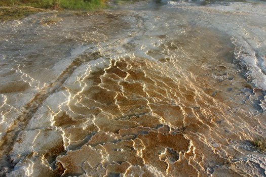 Mammoth Hot Spring