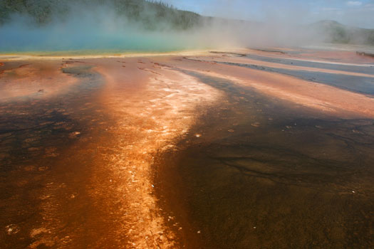 Midway Geyser Basin