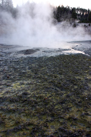 Mud Volcano