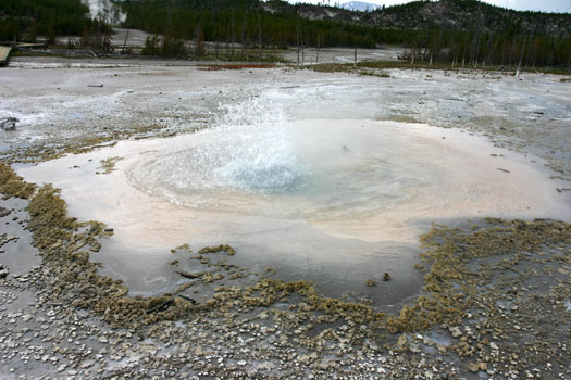 Norris Geyser Basin