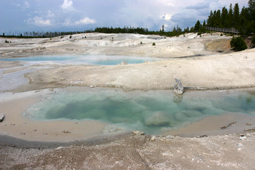 Norris Geyser Basin