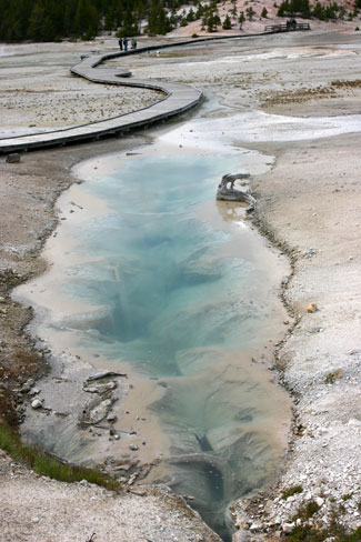 Norris Geyser Basin