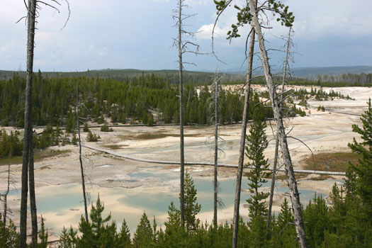 Norris Geyser Basin