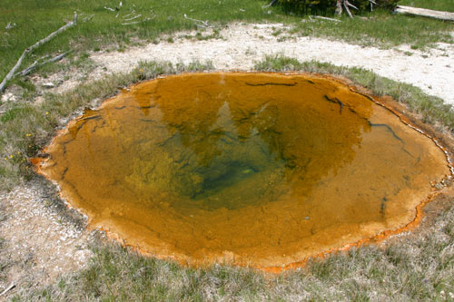 Upper Geyser Basin