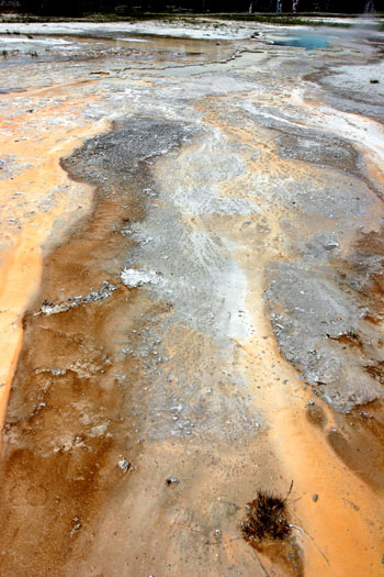 Upper Geyser Basin