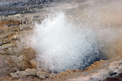 Upper Geyser Basin