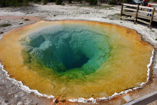 Upper Geyser Basin