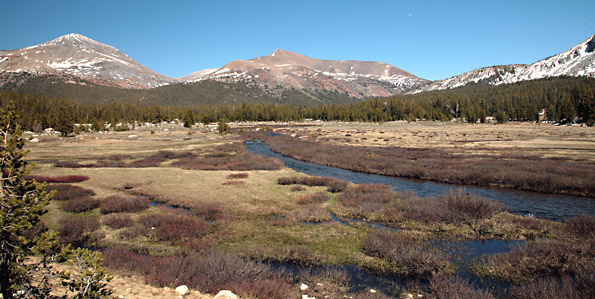 Yosemite National Park 
Tioga Road