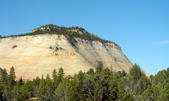 Zion National Park 
Checkerboard Mesa